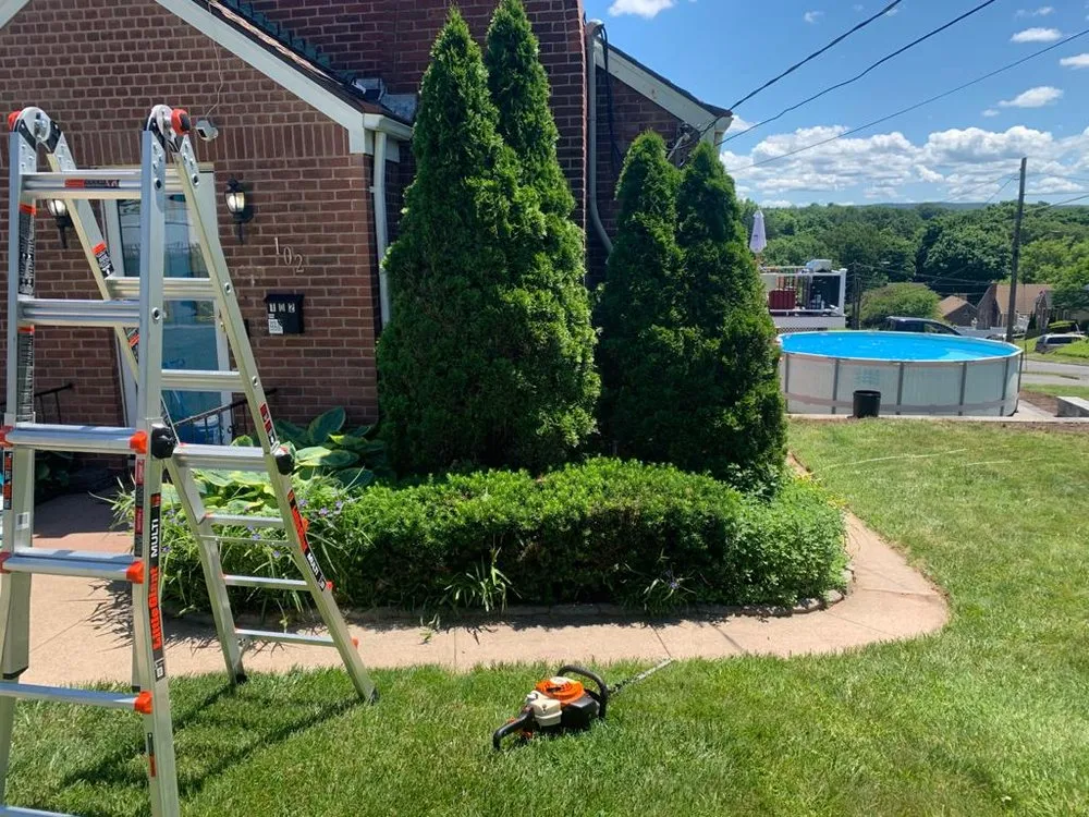 Affordable landscape installation for beautiful yards in Middletown, CT by Firmes Family Landscaping