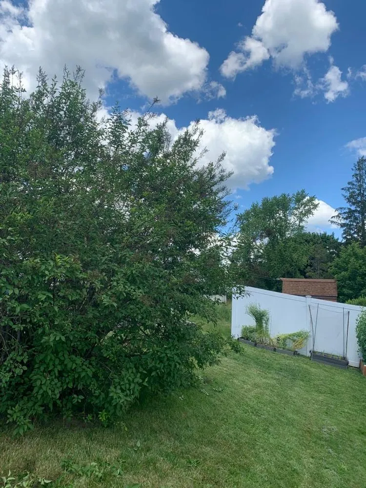 Custom outdoor landscaping in Middletown, CT by Firmes Family Landscaping