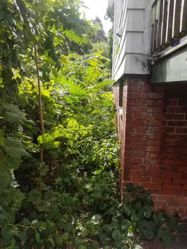 Expert outdoor landscaping for outdoor upgrades in Middletown, CT by Firmes Family Landscaping