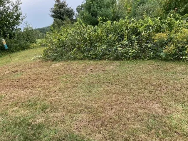 Professional yard cleanup service experts serving Weare, NH - Firmly Rooted Landscaping