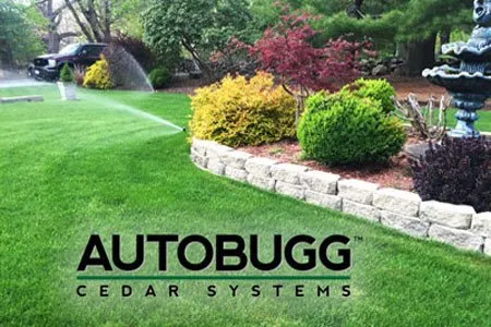Top-rated yard cleanup service for beautiful yards across Weare, NH - Firmly Rooted Landscaping