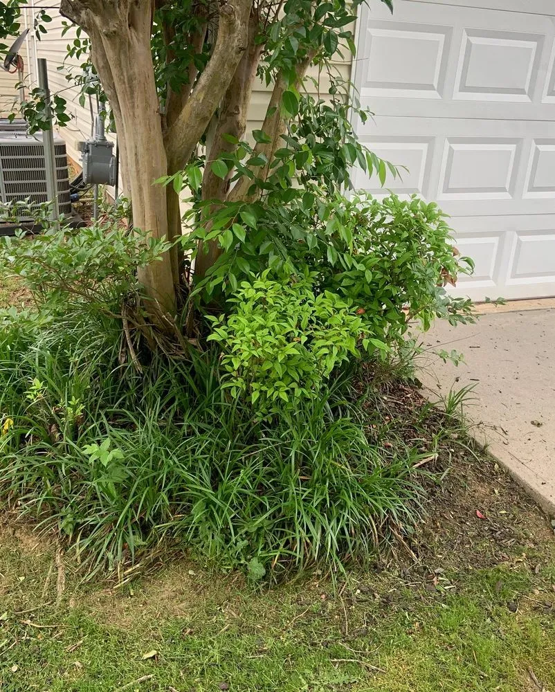 Professional landscape installation experts serving Decatur, GA - First & Goal