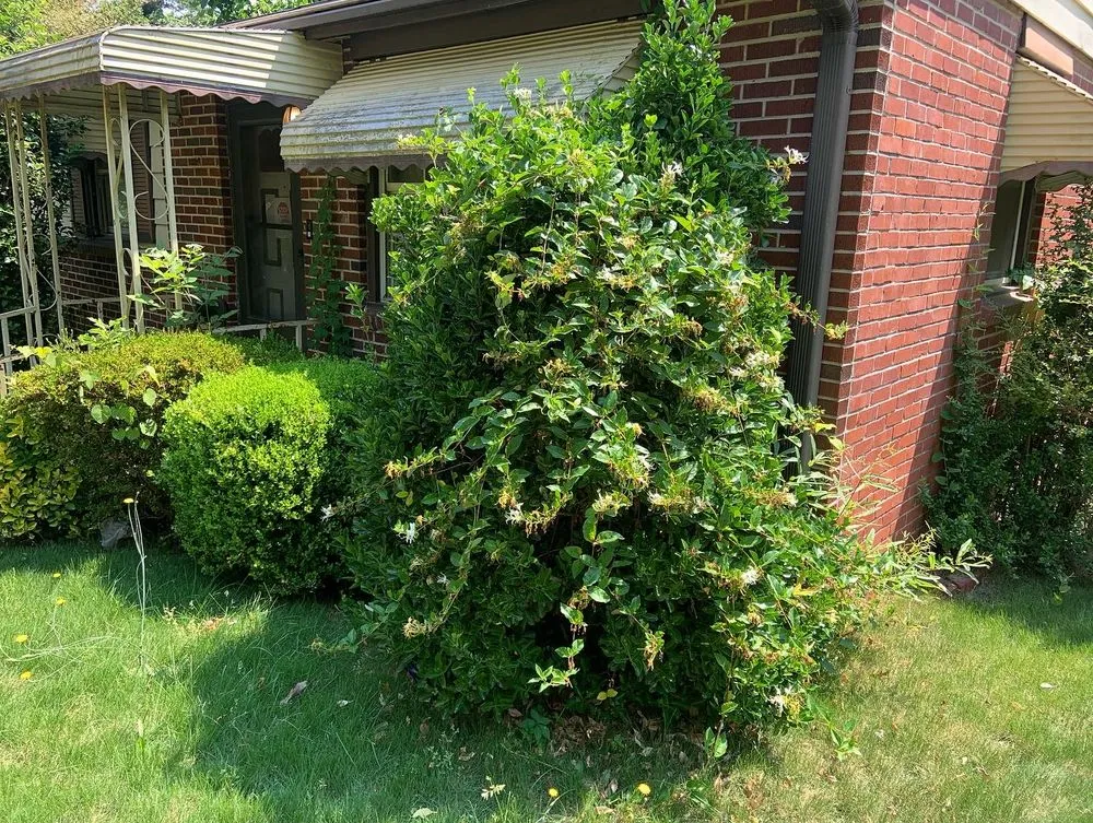 Expert lawn mowing service experts serving Decatur, GA - First & Goal