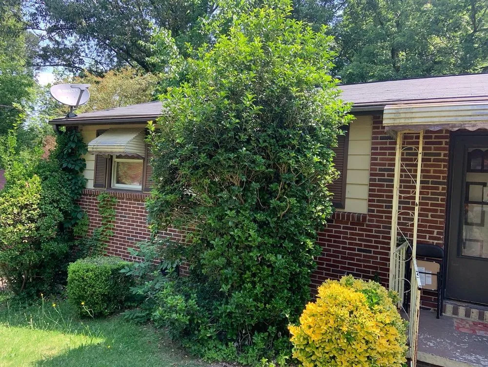 Reliable yard maintenance for year-round maintenance across Decatur, GA - First & Goal