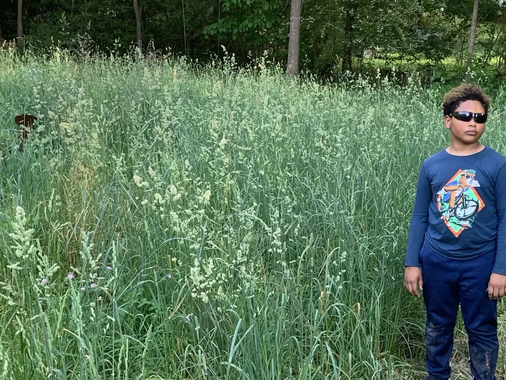 Expert landscaping services in Decatur, GA by First & Goal