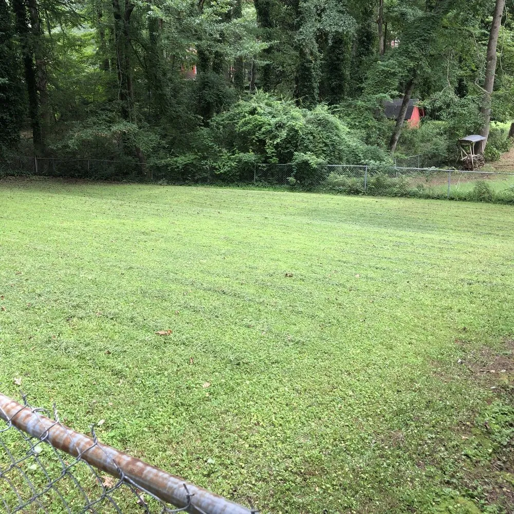 Top-rated landscaping services in Decatur, GA by First & Goal