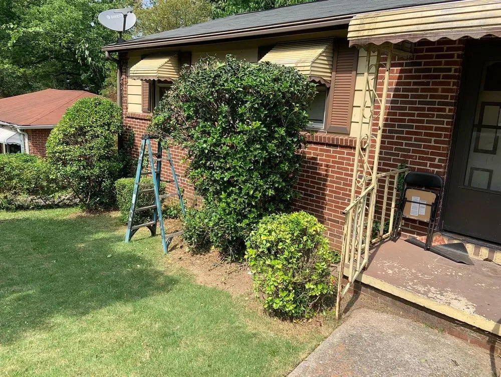 Top-rated yard cleanup service experts serving Decatur, GA - First & Goal