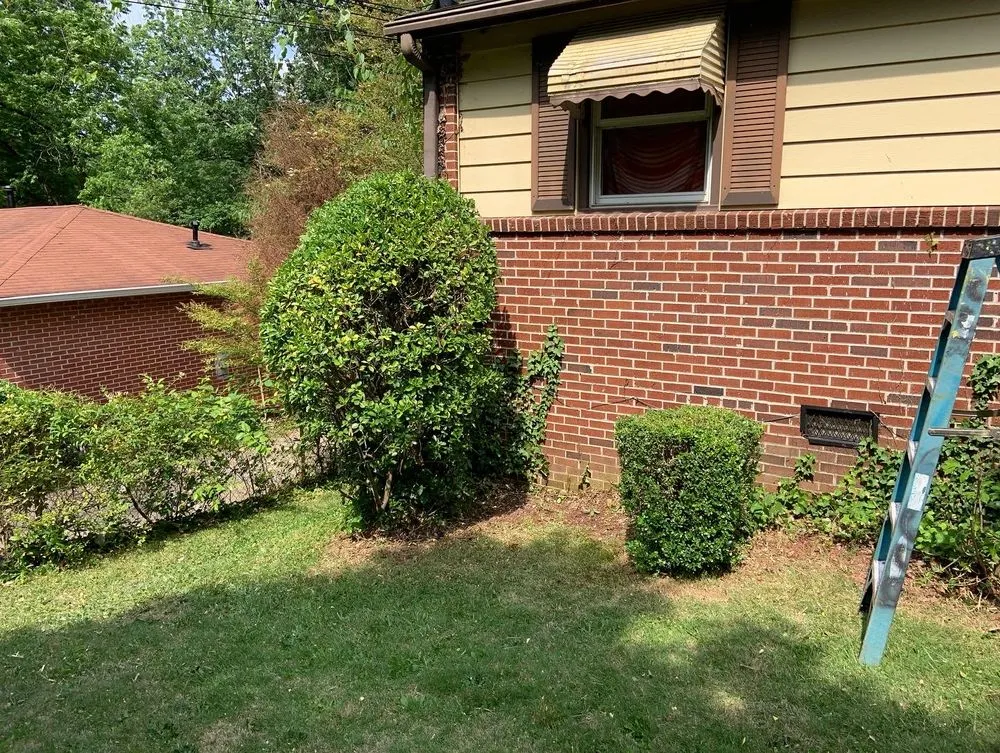 Top-rated landscape design experts serving Decatur, GA - First & Goal