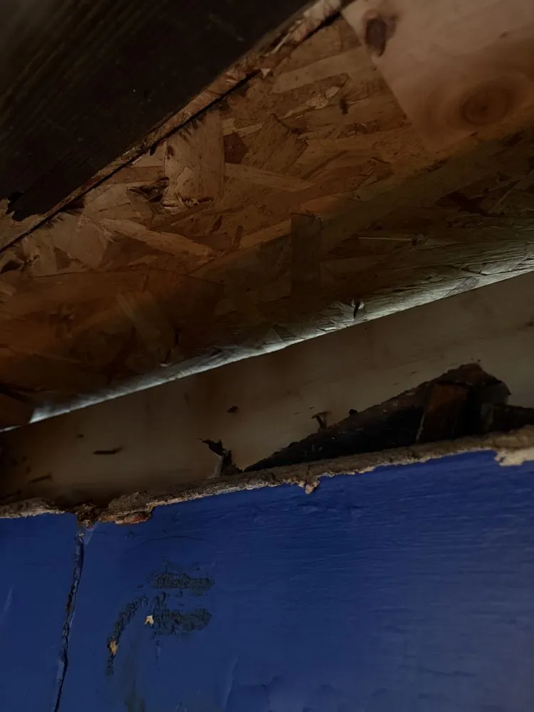 Expert landscape design in Springfield, MA - First 5 Logistics