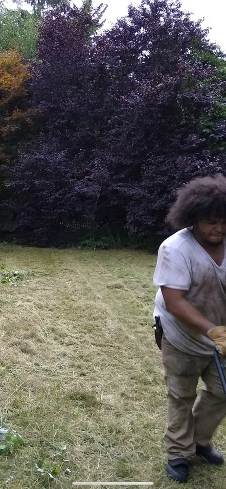 Affordable garden landscaping in Springfield, MA by First 5 Logistics