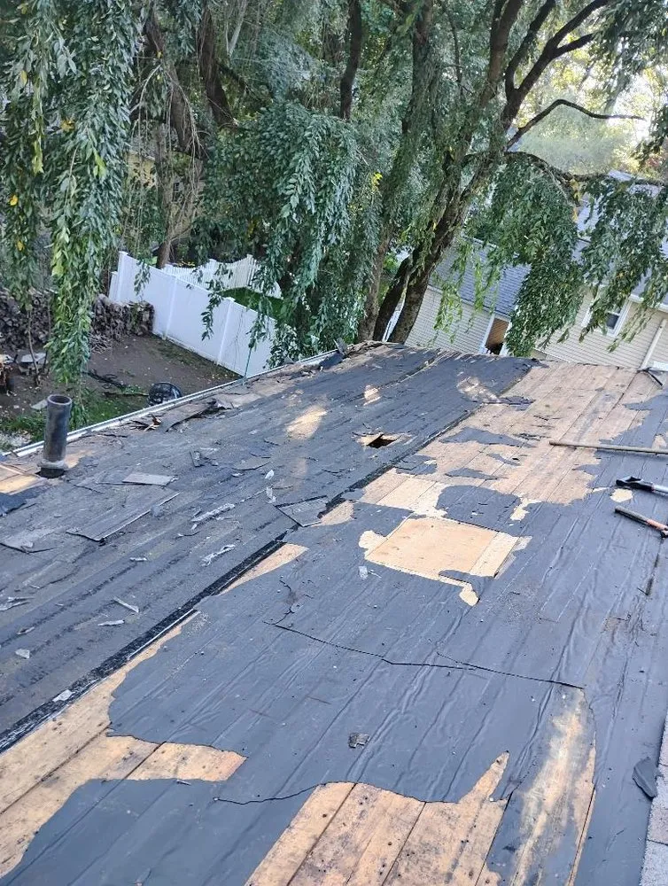 Reliable yard maintenance experts serving Springfield, MA - First 5 Logistics