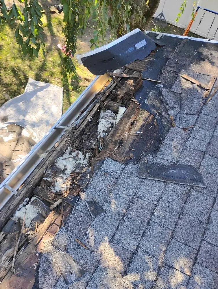 Professional lawn care service in Springfield, MA by First 5 Logistics