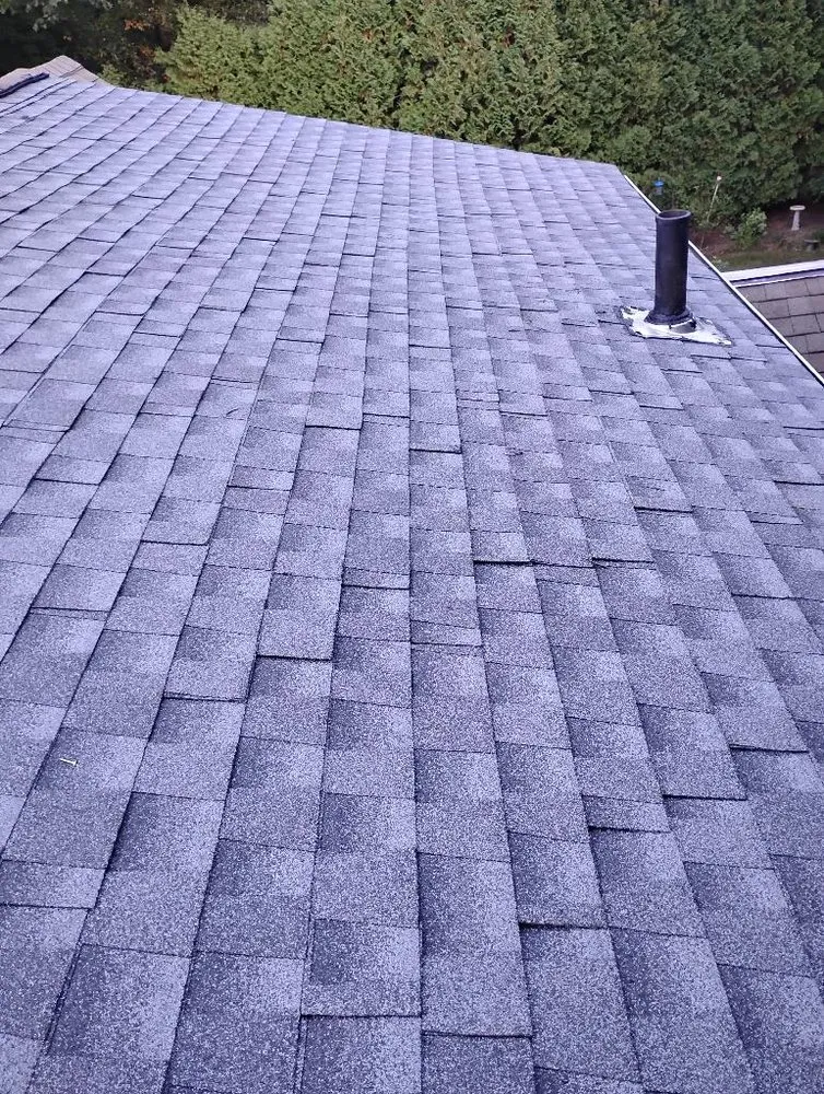 Local landscape design in Springfield, MA - First 5 Logistics