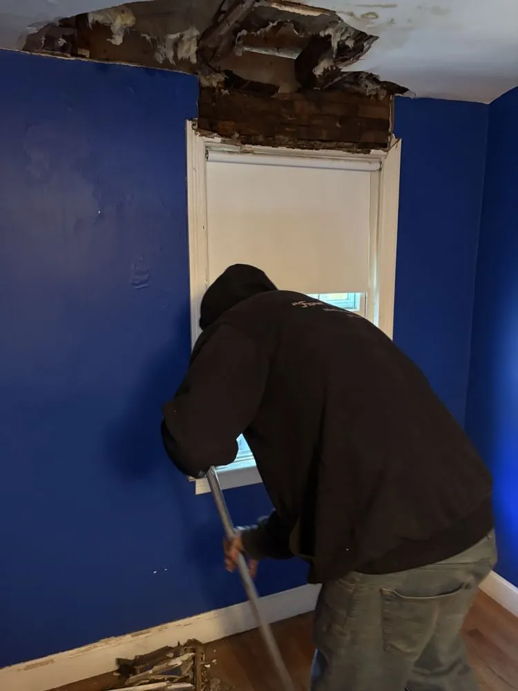 Top-rated residential landscaping experts serving Springfield, MA - First 5 Logistics