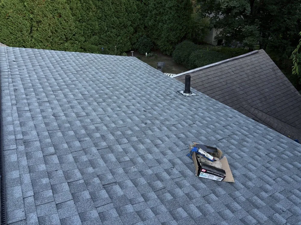 Custom yard cleanup service with custom design across Springfield, MA - First 5 Logistics