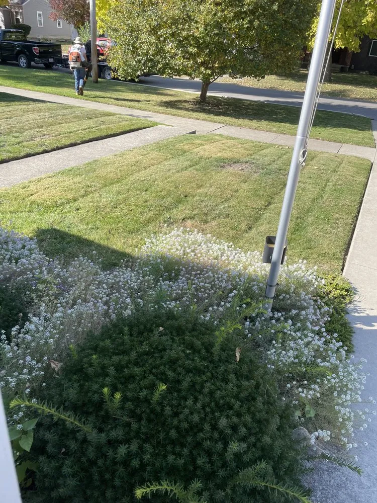 Professional landscape installation in Lima, OH by First Call Lawn Care