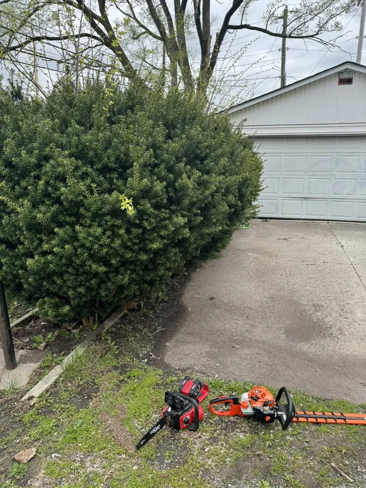 Reliable landscaping services for year-round maintenance across Lima, OH - First Call Lawn Care