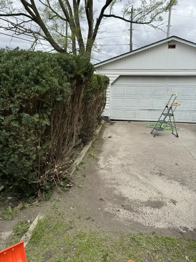 Expert landscape installation in Lima, OH - First Call Lawn Care