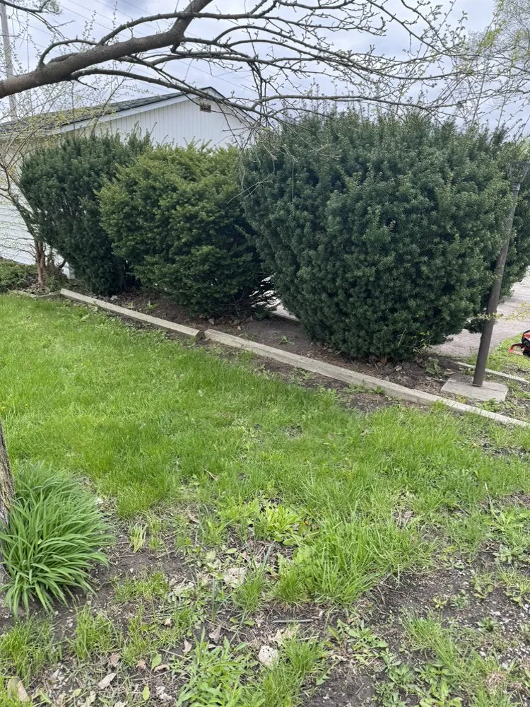 Local landscape installation for outdoor upgrades across Lima, OH - First Call Lawn Care