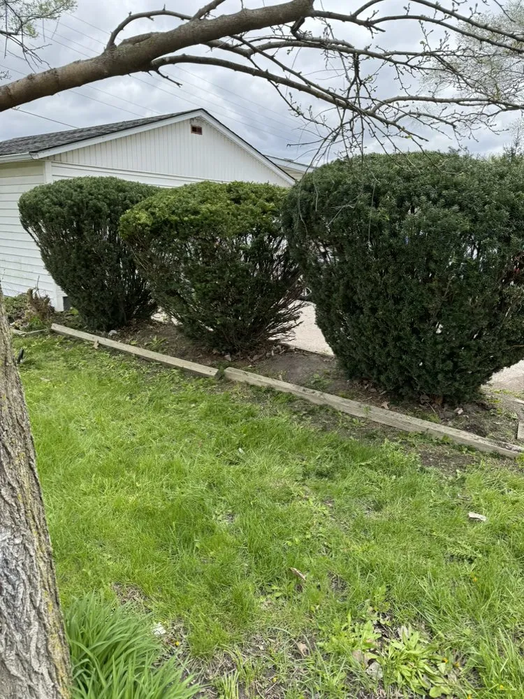 Top-rated lawn mowing service in Lima, OH - First Call Lawn Care