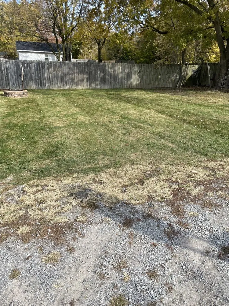 Professional yard maintenance experts serving Lima, OH - First Call Lawn Care