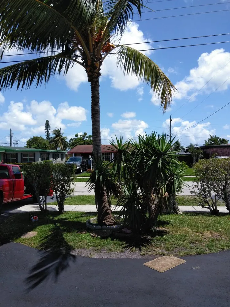 Reliable lawn mowing service for beautiful yards in Sunrise, FL by First Chance Landscaping