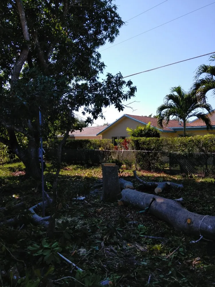 Custom lawn care service for year-round maintenance in Sunrise, FL by First Chance Landscaping