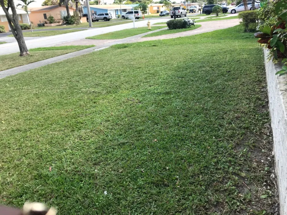 Professional landscape installation experts serving Sunrise, FL - First Chance Landscaping