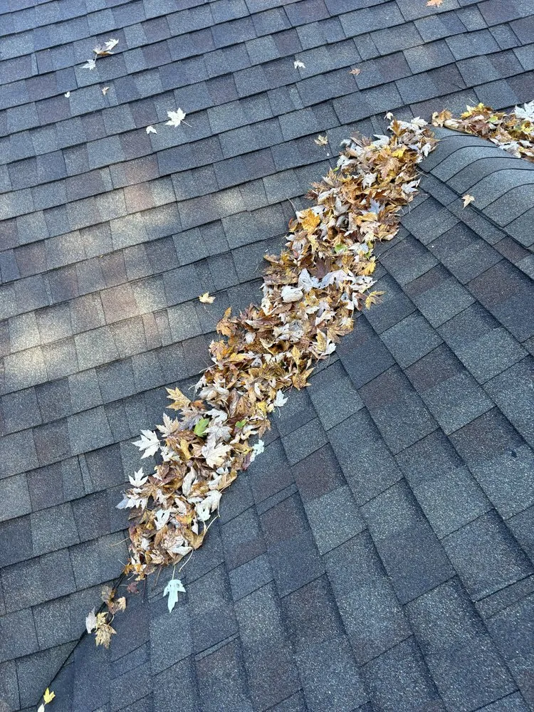 Local yard maintenance for outdoor upgrades across Lorain, OH - First Choice Home Solutions