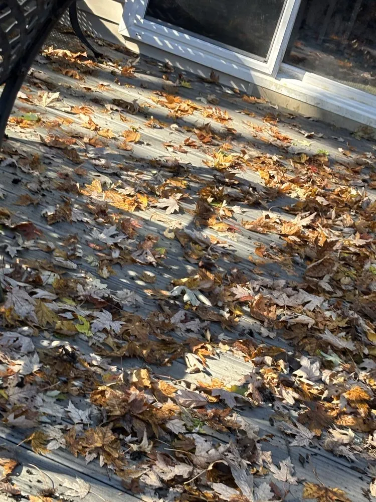 Expert landscape installation for beautiful yards in Lorain, OH by First Choice Home Solutions