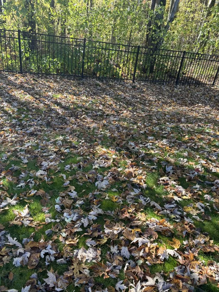 Local landscape design experts serving Lorain, OH - First Choice Home Solutions