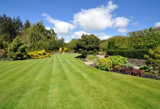 First Choice Land Maintenance
