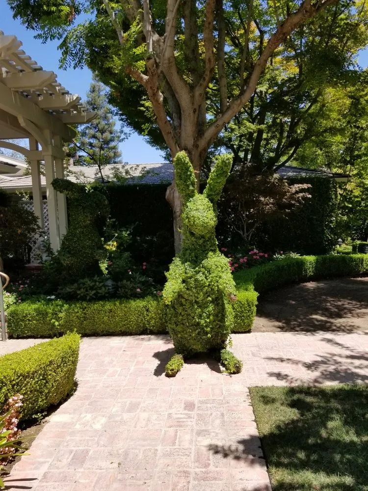 Top-rated landscape design in Bakersfield, CA - First Choice Landscape & Irrigation