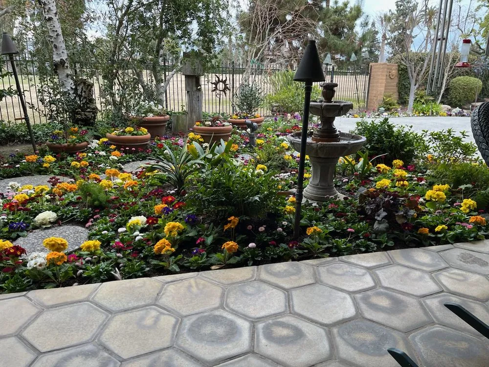 Affordable lawn care service experts serving Bakersfield, CA - First Choice Landscape & Irrigation