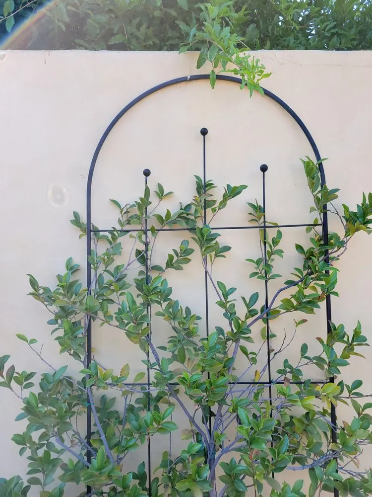 Local landscape design experts serving Bakersfield, CA - First Choice Landscape & Irrigation