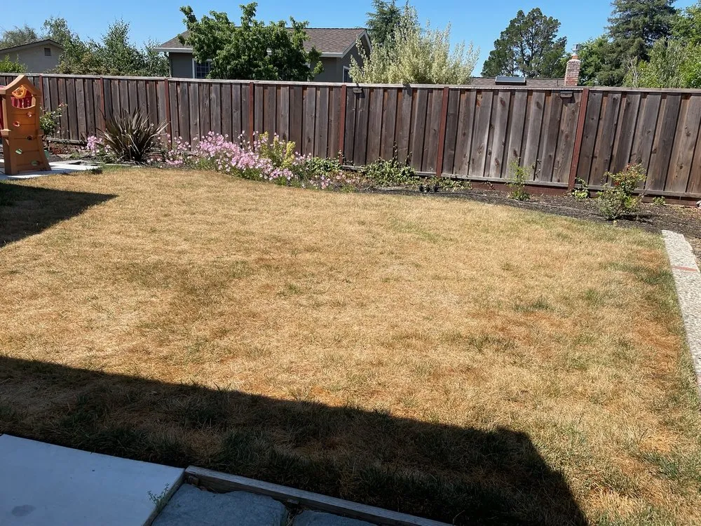 Reliable landscape installation in San Ramon, CA by First Choice Landscape and Design