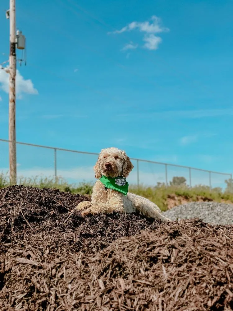 Expert landscape installation in Chippewa Falls, WI - First Choice Landscape