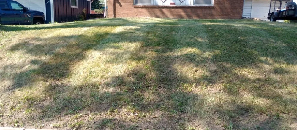 Professional yard cleanup service experts serving Tallmadge, OH - First Choice Landscaping And Lawn Maintenance