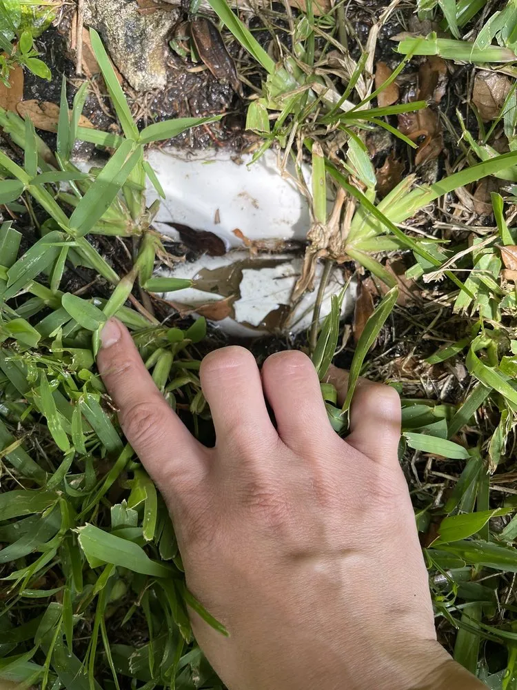 Local lawn care service experts serving Biscayne Park, FL - First choice landscaping