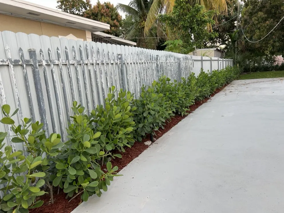 Expert landscape design for year-round maintenance in Biscayne Park, FL by First choice landscaping