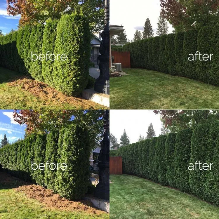 Professional outdoor landscaping in Biscayne Park, FL - First choice landscaping