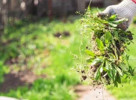 Custom residential landscaping with custom design across Biscayne Park, FL - First choice landscaping