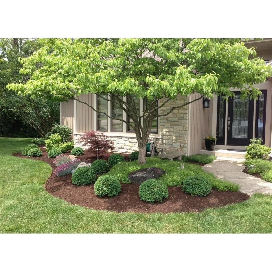 Reliable lawn care service in Cherry Log, GA - First Choice Landscaping