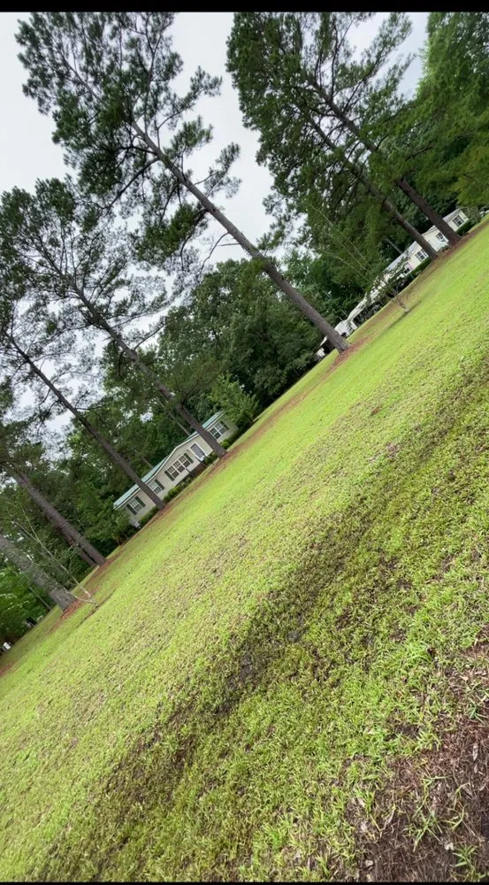 Reliable lawn care service in Manning, SC - First Choice Landscaping