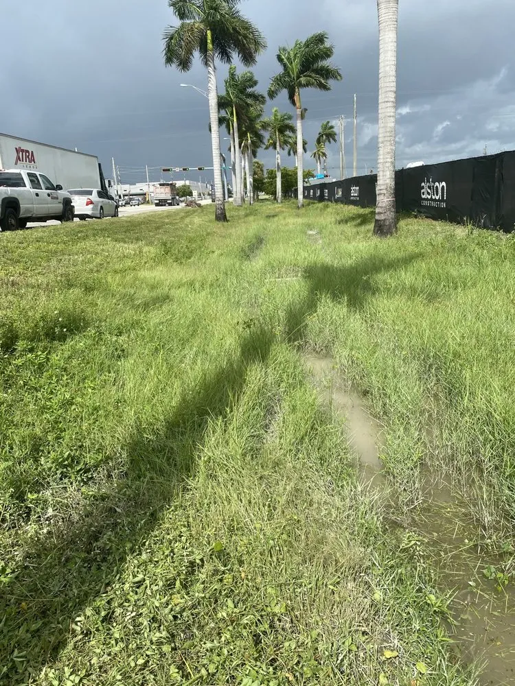 Custom landscape installation for homes across Miami Shores, FL - First Choice Landscaping