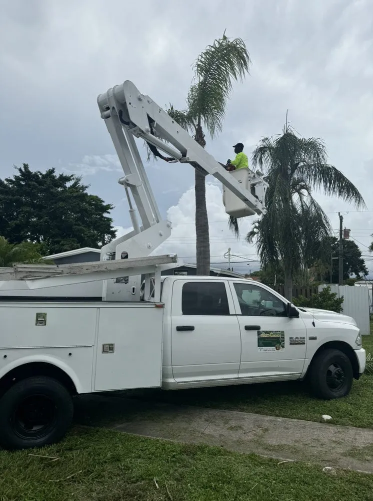 Top-rated yard maintenance experts serving Miami Shores, FL - First Choice Landscaping