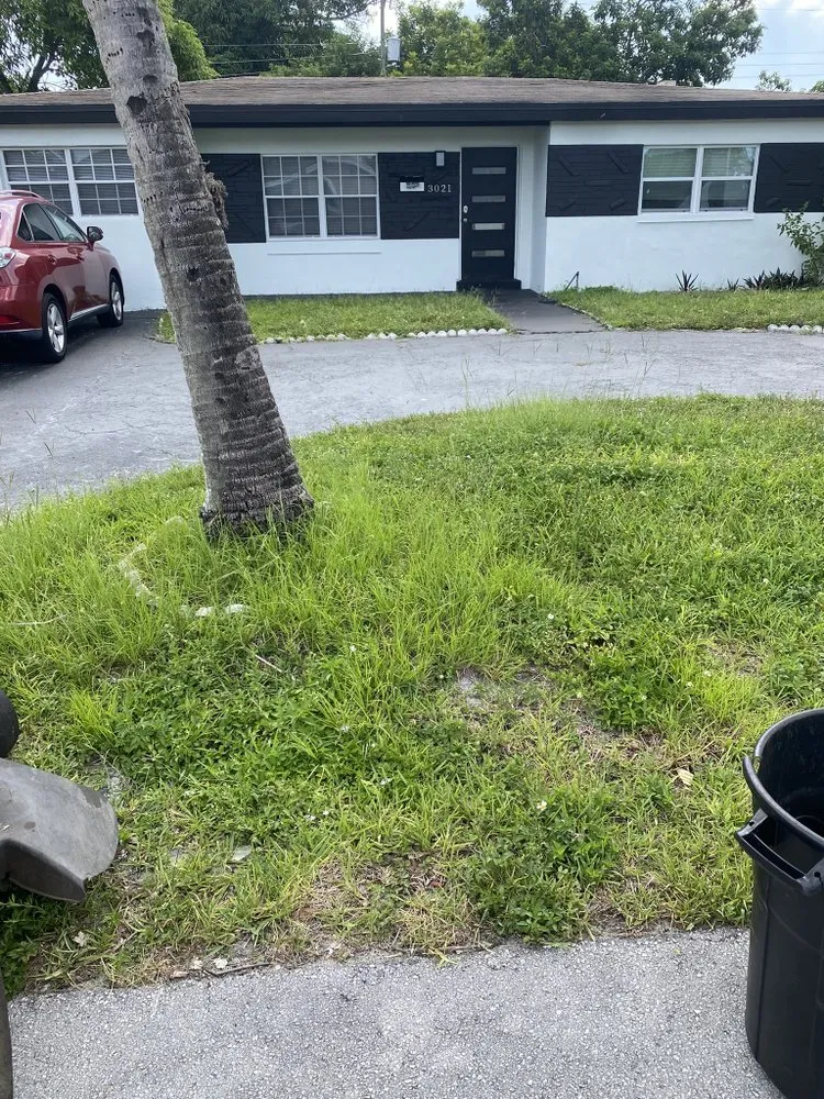 Expert lawn care service for homes across Miami Shores, FL - First Choice Landscaping