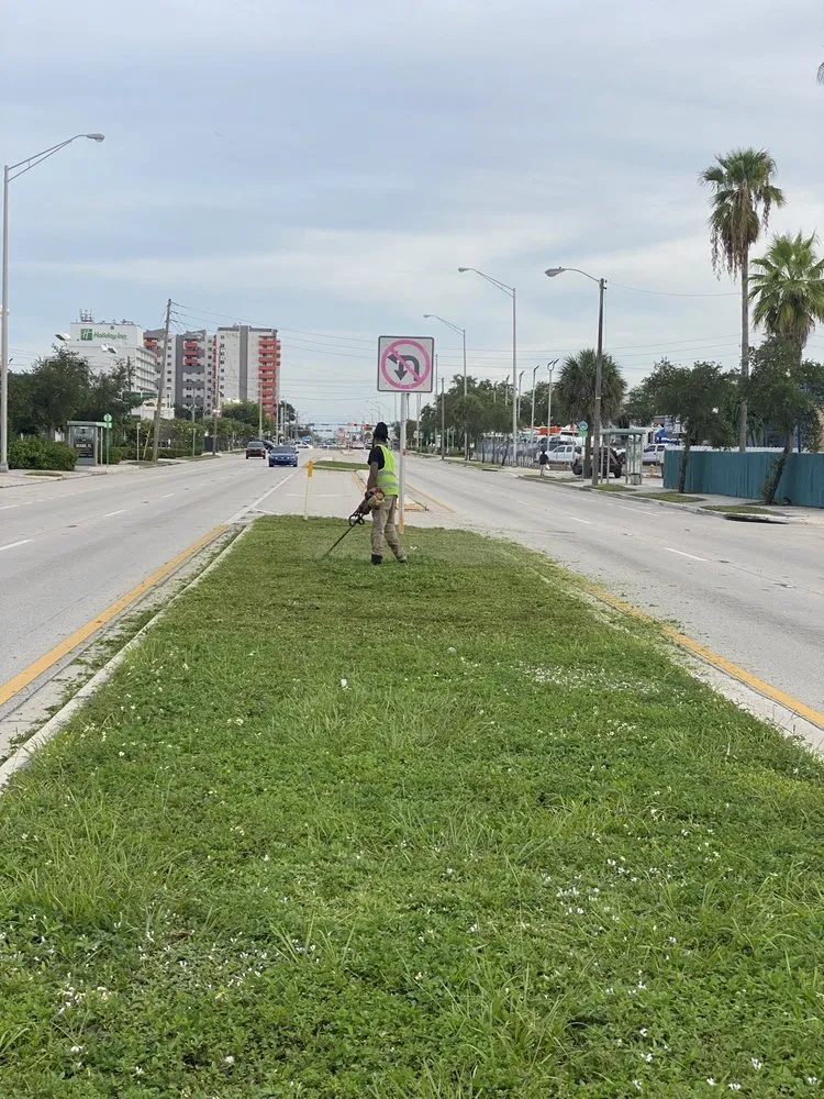 Trusted lawn care service for outdoor upgrades in Miami Shores, FL by First Choice Landscaping