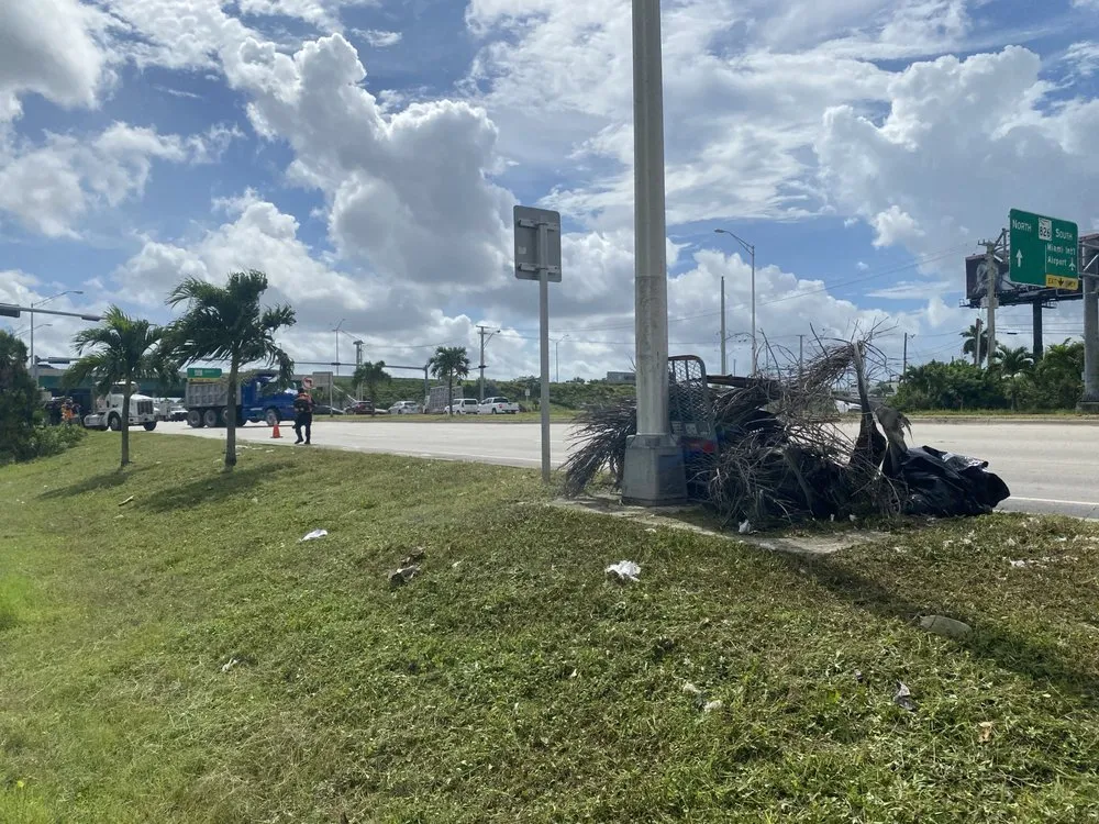 Custom garden landscaping in Miami Shores, FL - First Choice Landscaping