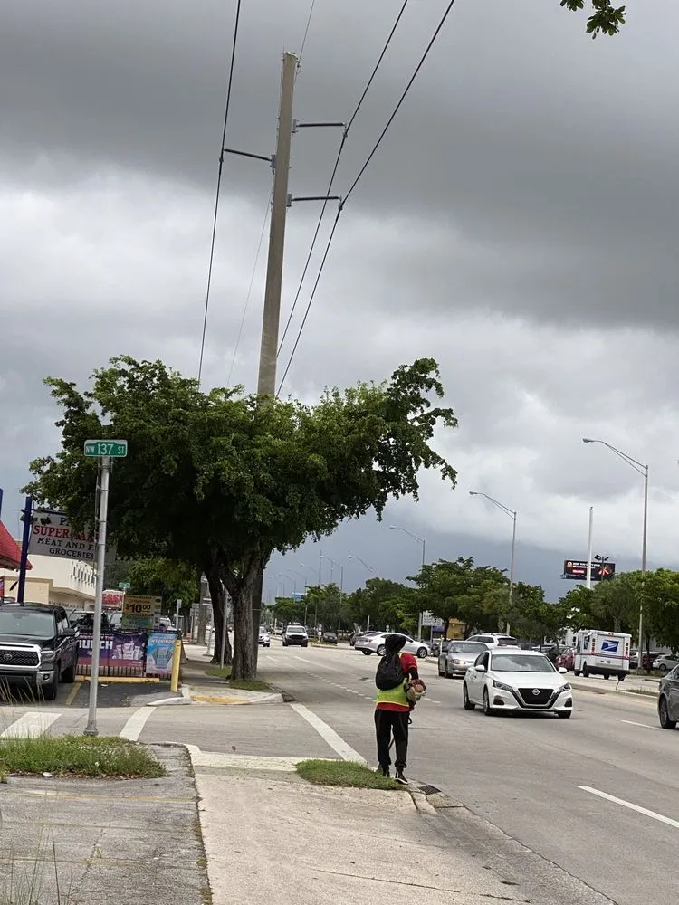 Expert lawn care service for residential properties in Miami Shores, FL by First Choice Landscaping